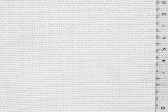 06AID52WHIxxxCOTLUR[AIDAMAS 52](WHITE)F 560x560